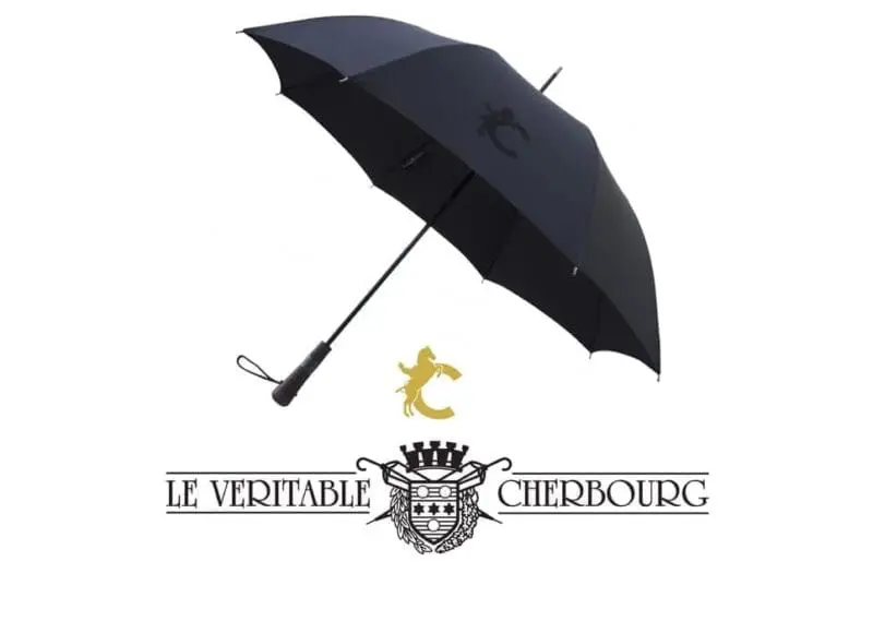 anti-squall model collab black frame open right handle