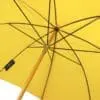 interieur-le-demoiselle-jaune Vue intérieure Le Demoiselle Jaune