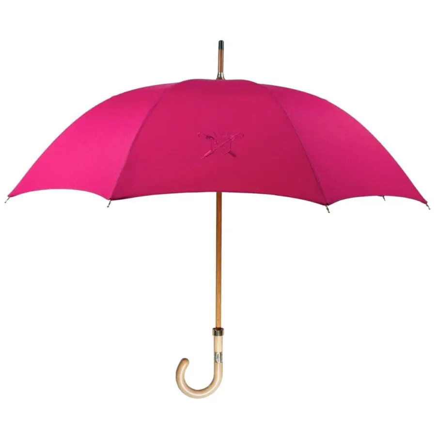 the-fuchsia-city