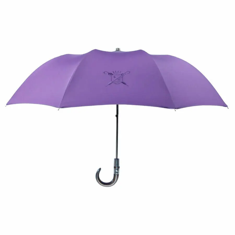 Le Voyageur poignée courbe violet