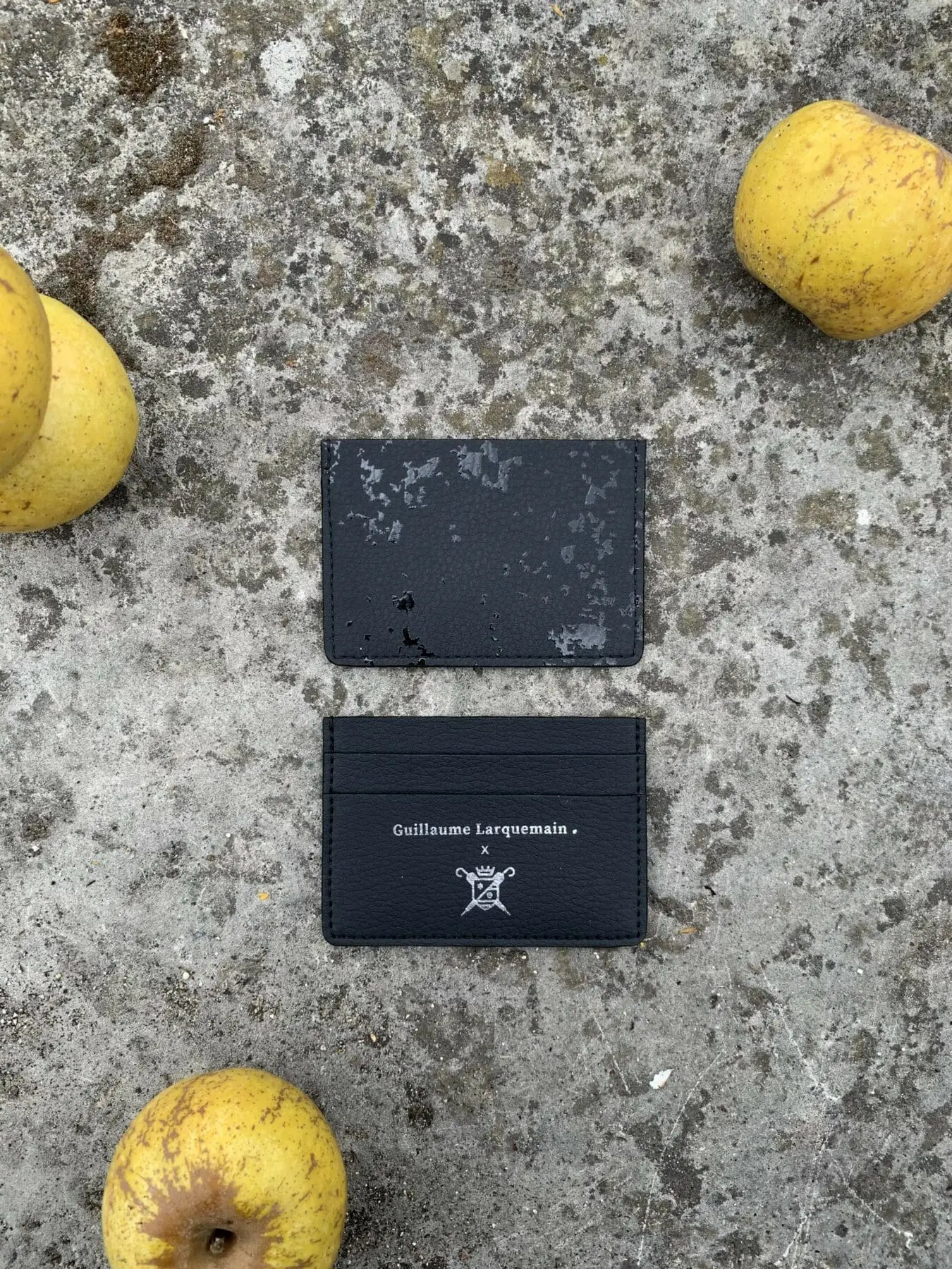 Le Parapluie de Cherbourg x Guillaume Larquemain-01