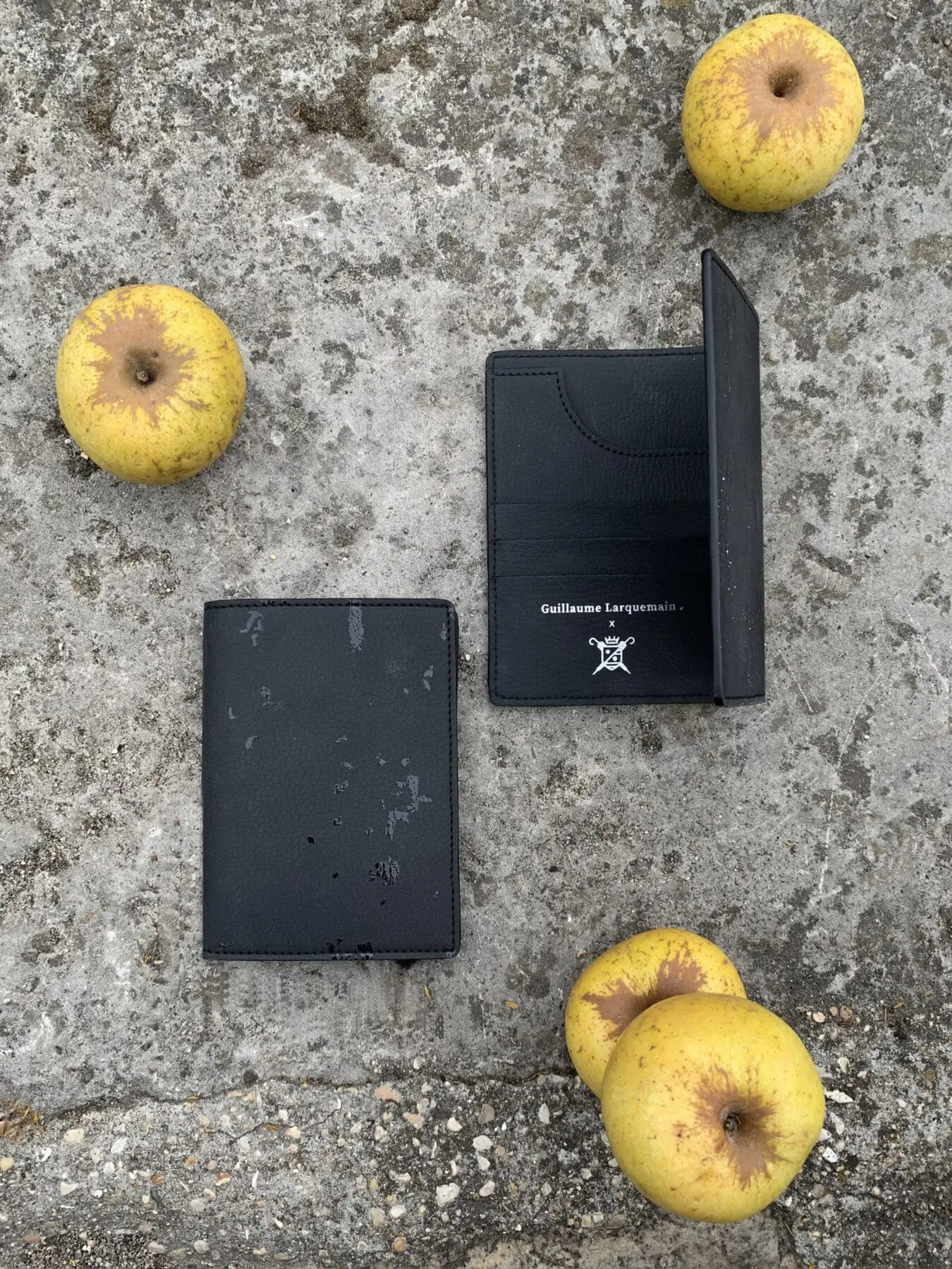 Le Parapluie de Cherbourg x Guillaume Larquemain-03