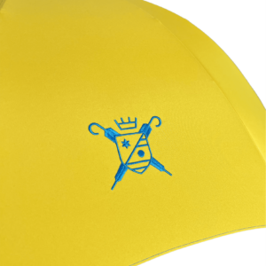 Blue on Yellow Logo