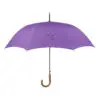 Anti-Burst Purple Curved Handle Ret