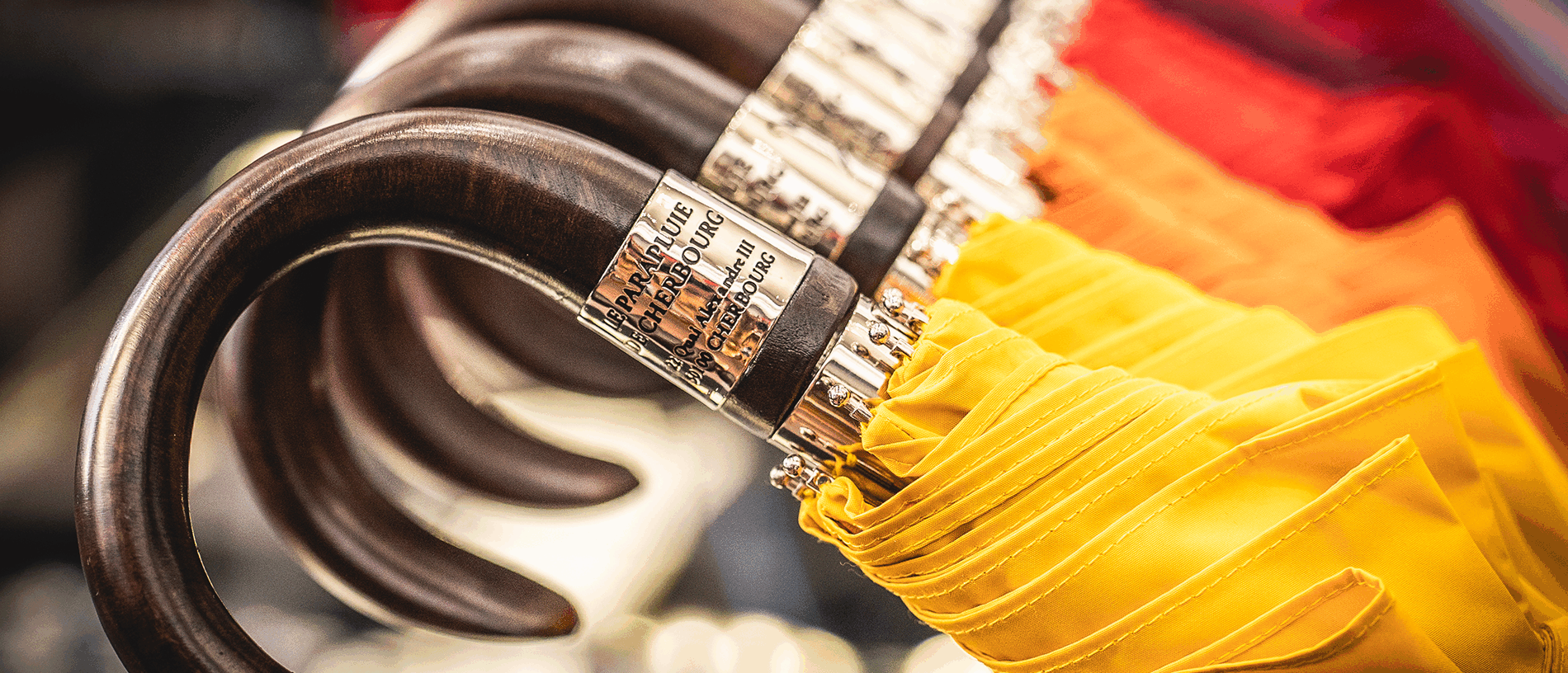 Our range of umbrellas